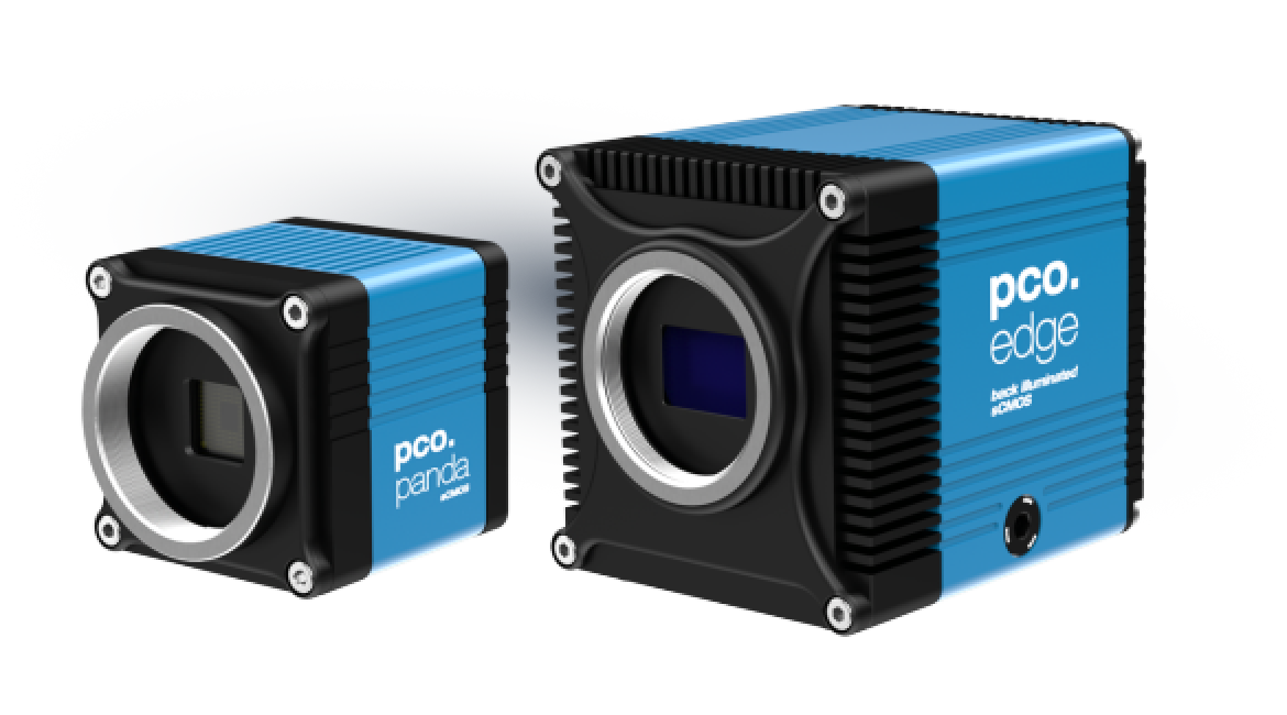 Excelitas PCO scientific cameras for high-quality quantitative imaging