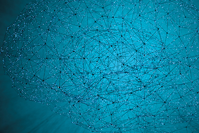 A neural net