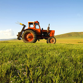 Agricultural Vision