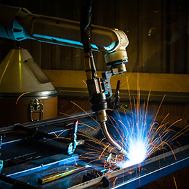 Robotic Vision