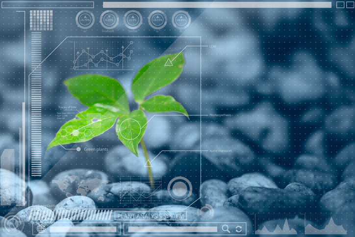 machine vision in agriculture