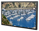 Product Image Of SXUHD-49
