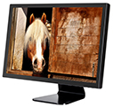 Product image of  TRU-Vu ZBVM-18.5 Series